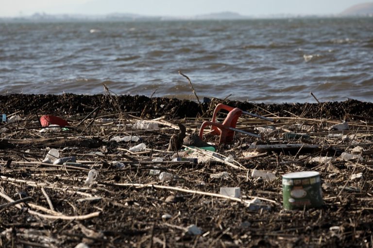 Δήλεσι, Χαλκούτσι, Ωρωπός: Γέμισαν σκουπίδια από τις πλημμύρες στην Εύβοια – Απαγορεύεται το κολύμπι (video)