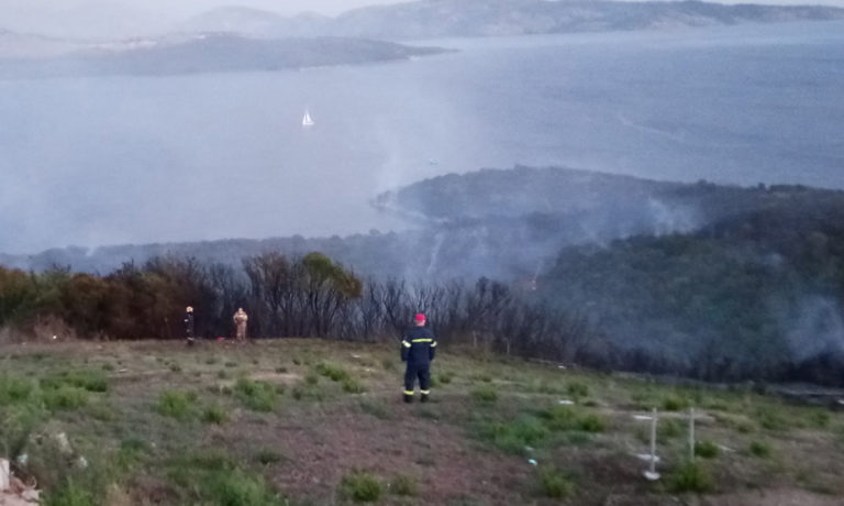 Κέρκυρα: Στάχτη 200 στρέμματα στον Ερημίτη (video)