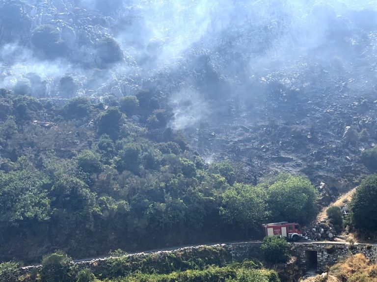 Πυρκαγιά στο Σκαδό Νάξου – Υπό μερικό έλεγχο η φωτιά στις Οινιάδες Μεσολογγίου