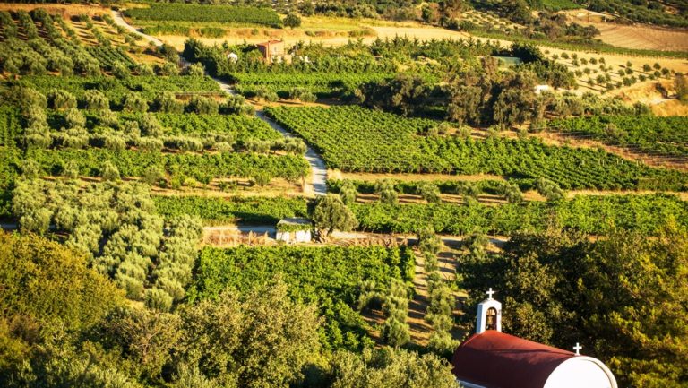 Ένταξη 79 ιδιωτικών επενδύσεων στο πρόγραμμα Αγροτικής Ανάπτυξης