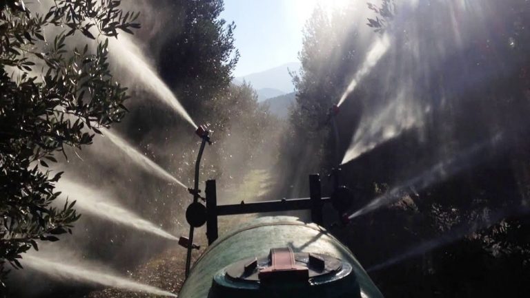 Ηλεία: Προσλαμβάνονται για τις ανάγκες της δακοκτονίας