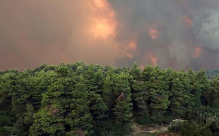 Σέρρες: Υπό έλεγχο η φωτιά στον Λαϊλιά