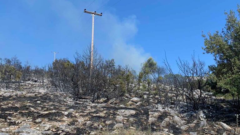 Καβάλα: Έγκαιρη επέμβαση σε πυρκαγιά στην περιοχή Ζυγού