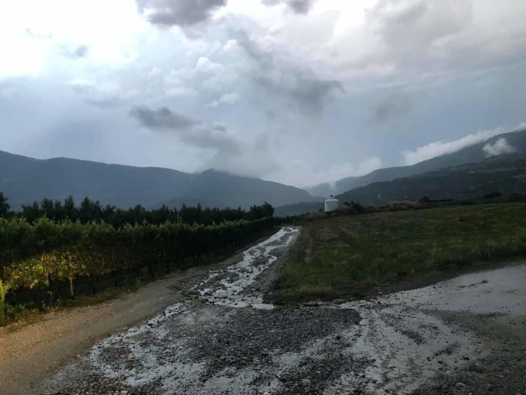 Κοζάνη: Με χαλάζι  βροχή και αέρα πέρασε η “Θάλεια” – Καταστροφές σε αγροτικές καλλιέργειες