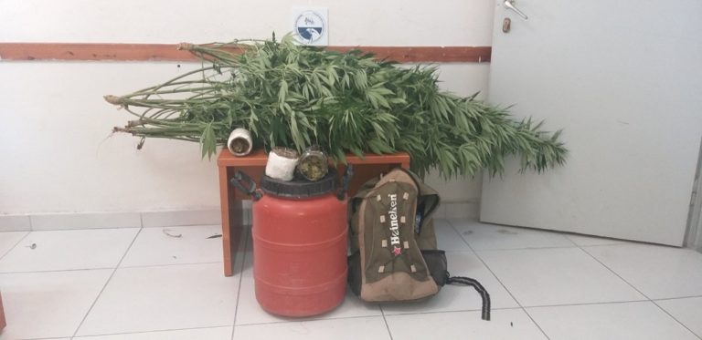 Ηγουμενίτσα: Σύλληψη για καλλιέργεια χασίς