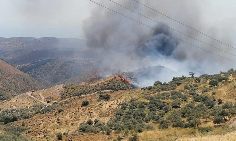 Πυρκαγιά στην περιοχή Λαγκαδάκια της Ζακύνθου