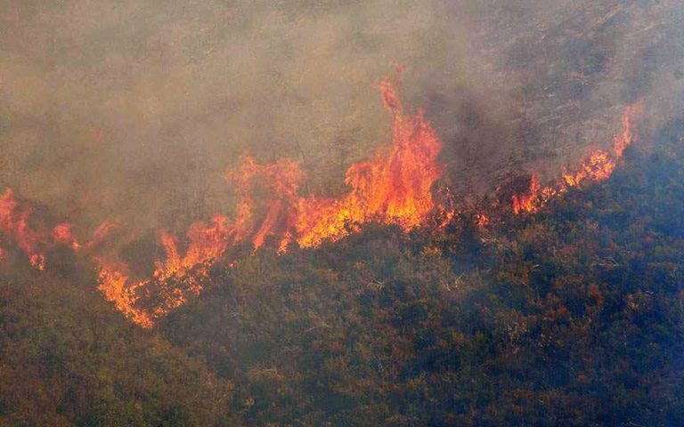 Πάτρα: Ολονύχτια μάχη της Πυροσβεστικής με φωτιά στα Συχαινά