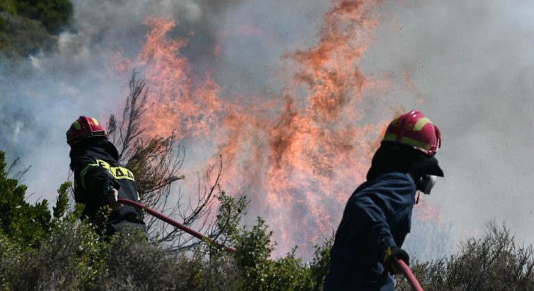 Πυρκαγιά στην περιοχή Τριανταφυλλιάς, στην Αμαλιάδα