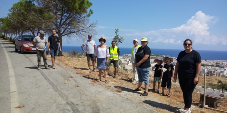 Ρέθυμνο: Ολοκληρώθηκε με επιτυχία η δενδροφύτευση στα Τρία Μοναστήρια