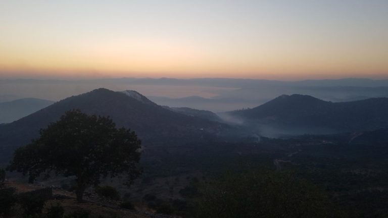 Σε ύφεση η φωτιά στην Ανατολική Μάνη – Ανυπολόγιστες καταστροφές στον δασικό πλούτο