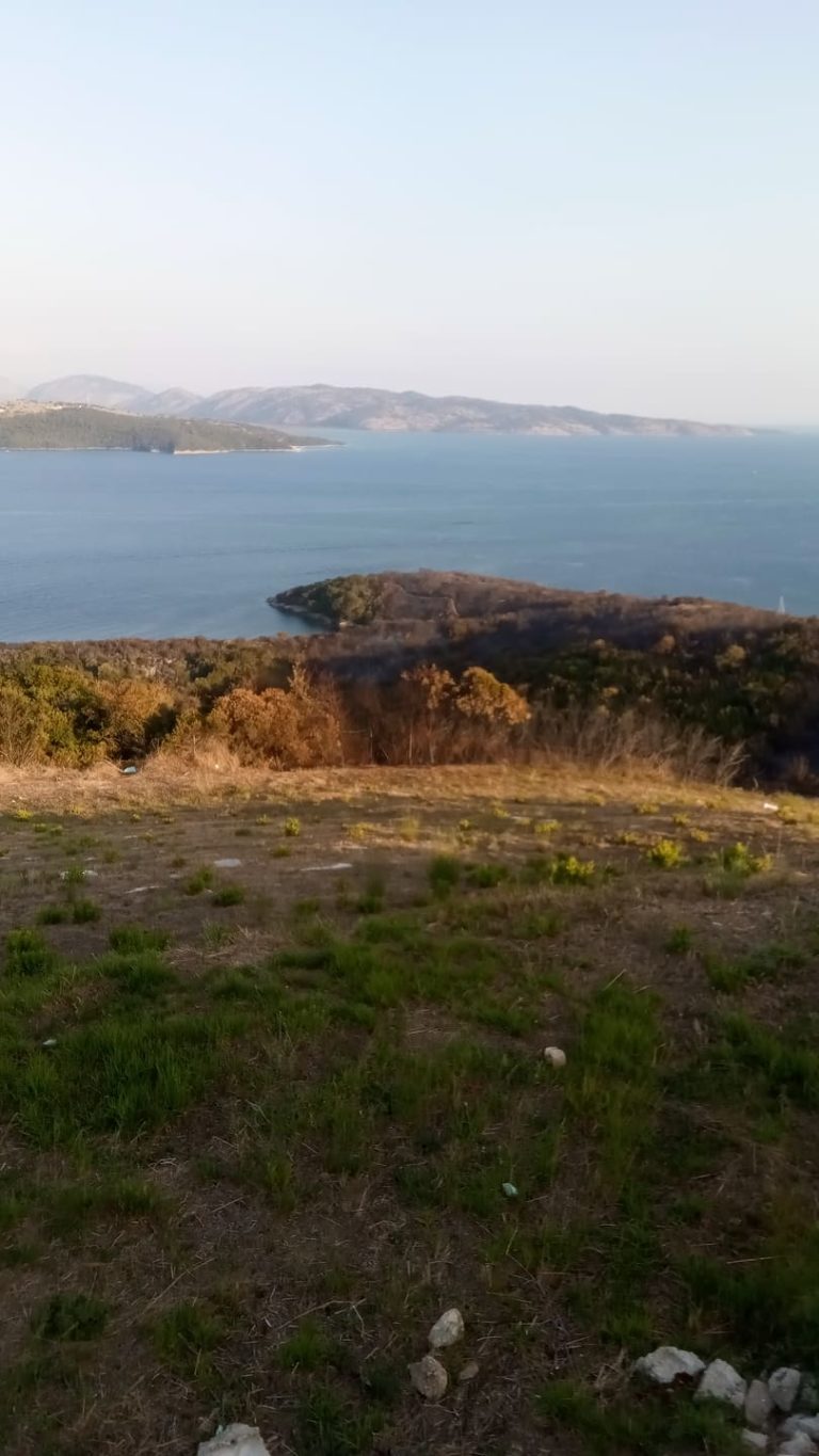Δήμος Β. Κέρκυρας: Να κηρυχθεί αναδασωτέα η καμένη έκταση του Ερημίτη