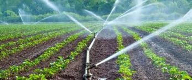 Σέρρες: Εγκρίθηκε το συμπληρωματικό πρόγραμμα αγροτικού εξηλεκτρισμού 2020