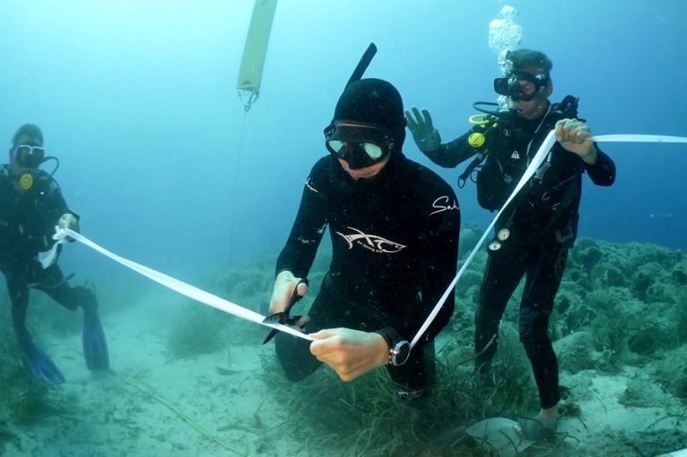 Αλόννησος: Υποθαλάσσια εγκαίνια στο πρώτο υποβρύχιο μουσείο της Ελλάδας (video)