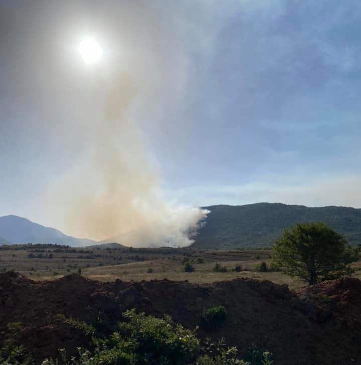Πυρκαγιά από την Αλβανία κοντεύει στο Βροντερό Πρέσπας