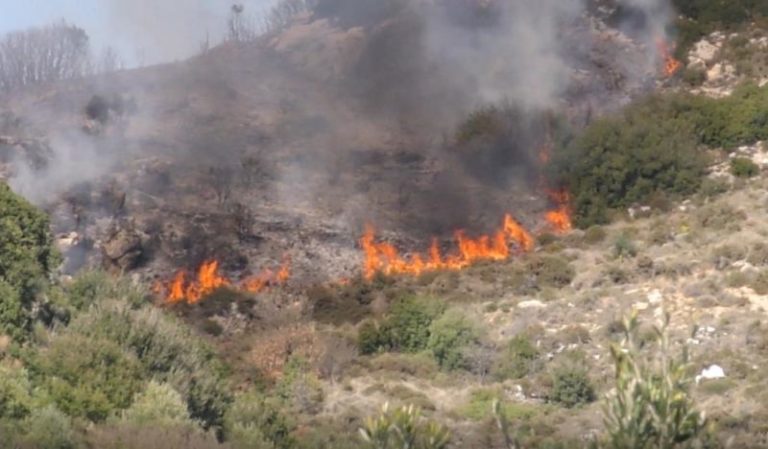Μεσσηνία: Έγκαιρη κινητοποίηση για τη φωτιά στο Πουλίτσι