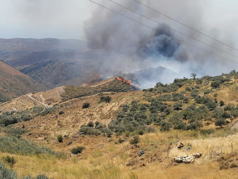 Εθελοντική δράση καθαρισμού στις πληγείσες από τη φωτιά περιοχές Κανδάνου – Σελίνου