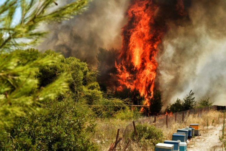 Πυρκαγιά στην Αγ. Βαρβάρα Ηρακλείου – Δυσκολεύουν την πυρόσβεση δυνατοί άνεμοι