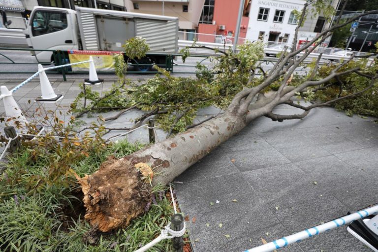 Νότια Κορέα και Ιαπωνία πλήττονται από τυφώνες