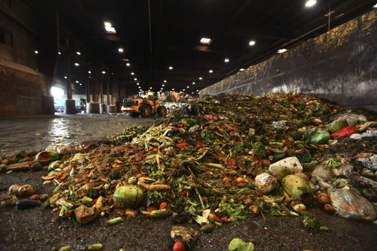 WWF Ελλάς: 88 εκατομμύρια τόνοι τροφίμων ετησίως καταλήγουν στα σκουπίδια μόνο στην Ευρώπη