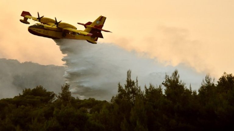 Χωρίς ενεργό μέτωπο η πυρκαγιά στη Νέα Μάκρη – Υπό μερικό έλεγχο στο ρέμα Κοκκιναρά