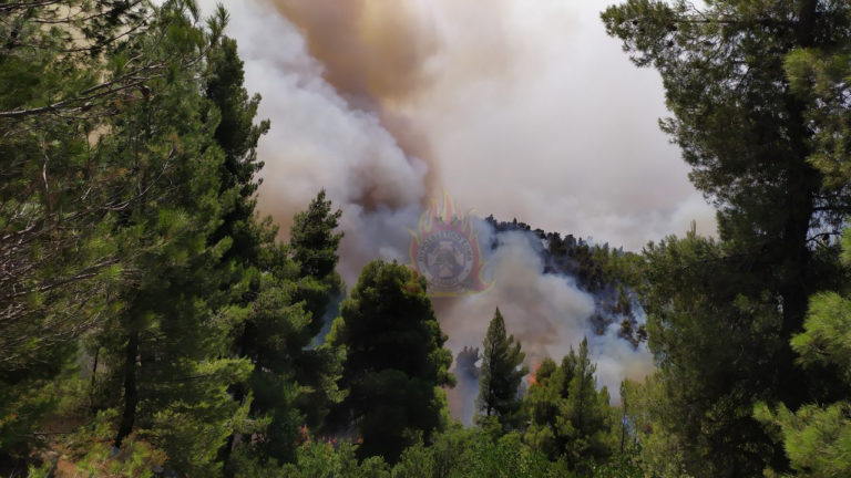 Καίγεται δάσος στο Οίτυλο Λακωνίας
