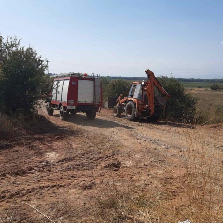 Ροδόπη: 200 στρέμματα χαμηλής βλάστησης τυλίχτηκαν στις φλόγες