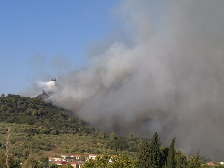 Φωτιά στην Ηλεία: Απομακρύνθηκαν κάτοικοι – Πύρινο μέτωπο 10 χλμ.
