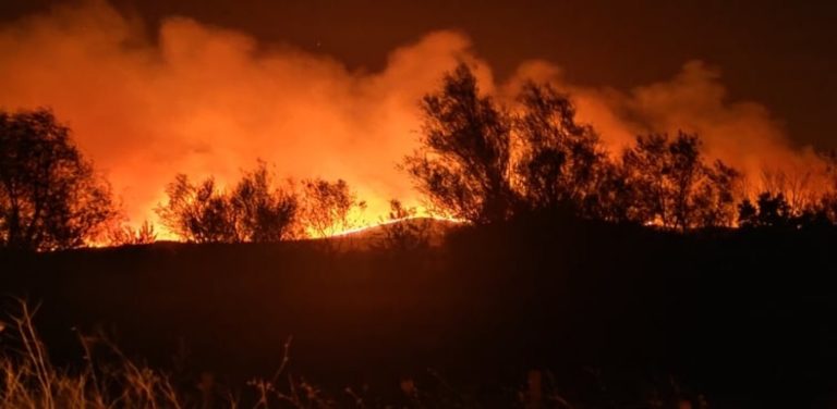 Κλιμάκιο της διεύθυνσης Αντιμετώπισης Εγκλημάτων Εμπρησμού στον Έβρο