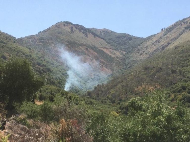 Μεσσηνία: Ενδείξεις εμπρησμού στις νέες φωτιές