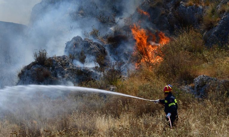 Σέρρες: Κατασβέστηκε η πυρκαγιά στο Καστανοχώρι