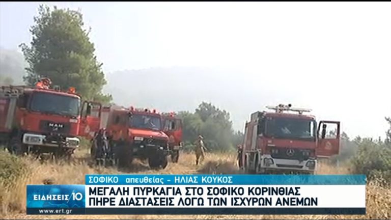 Υπό μερικό έλεγχο η πυρκαγιά στο Σοφικό Κορινθίας-Προληπτική εκκένωση οικισμών και μοναστηριού (video)