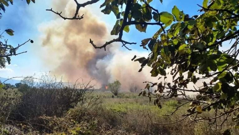 Ιωάννινα: Πυρκαγιές σε Αμφιθέα και Λογγάδες