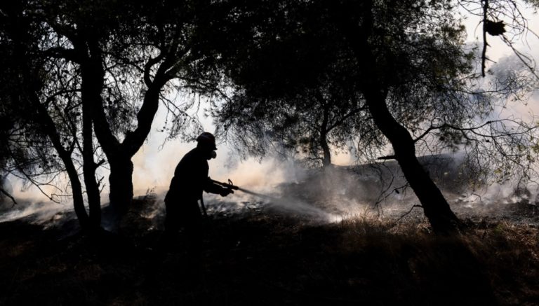 Σε ύφεση τα μέτωπα των πυρκαγιών-Υψηλός ο κίνδυνος πυρκαγιάς και σήμερα (video)