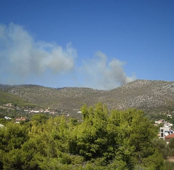 Νέα Μάκρη: Μεγάλη επιχείρηση για την κατάσβεση της πυρκαγιάς – Σε ισχύ κυκλοφοριακές ρυθμίσεις