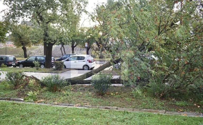 Προβλήματα από την κακοκαιρία που έπληξε την Κέρκυρα και τη Δ. Ελλάδα (video)