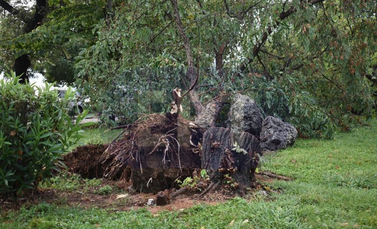 Κέρκυρα: Ξεριζώθηκαν δέντρα, παρασύρθηκαν ομπρέλες στη Σπιανάδα