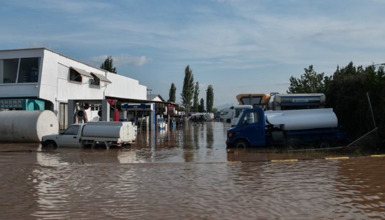 Αγώνας για την αποκατάσταση των ζημιών – Η πρόγνωση του καιρού (video)