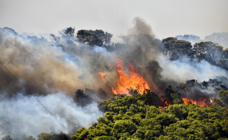 Δίνουν μάχη με τις φλόγες οι πυροσβέστες και οι εθελοντές της Σάμου