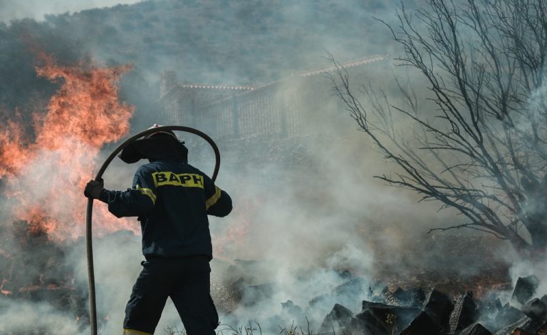 Πρέβεζα: Πυρκαγιά στην Φιλιππιάδα – Ολονύκτια μάχη με τις φλόγες στην Πάργα