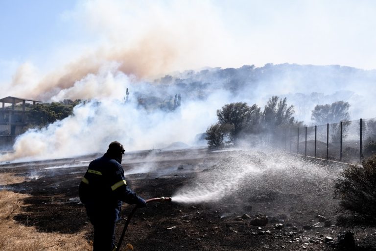 Γρεβενά: Πυρκαγιά σε αγροτική περιοχή