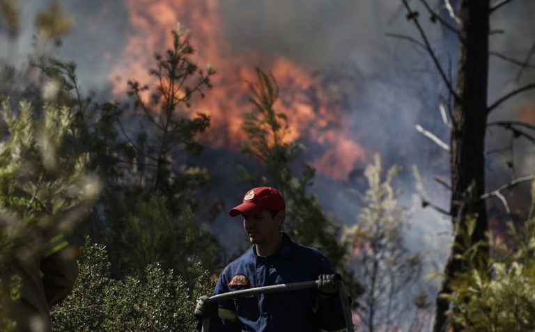 Πυρκαγιά στο Δορούφι Ερμιονίδας