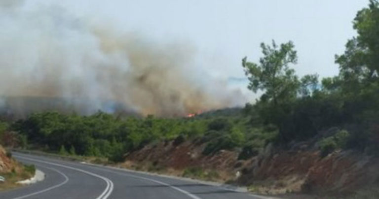 Λασίθι: Υπό έλεγχο η φωτιά στο Βαθύ Αγίου Νικολάου