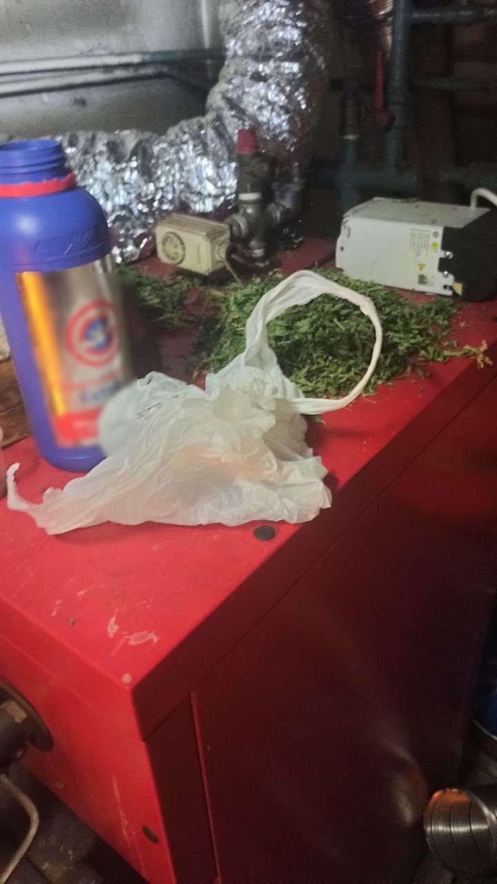 Φλώρινα : Για καλλιέργεια δενδρυλλίων κάνναβης συνελήφθη 32χρονος