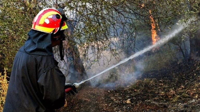 Πυρκαγιά στην Παλλήνη Αττικής