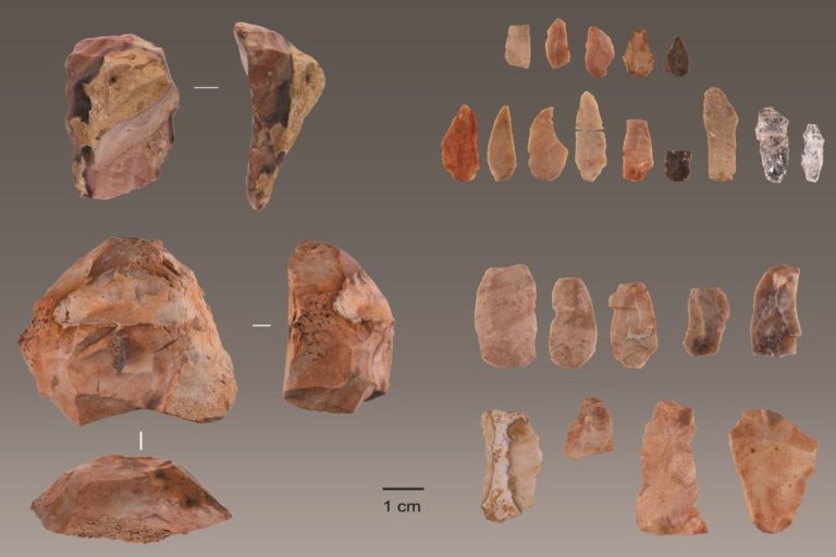 Νέα ευρήματα αναδεικνύουν την διασπορά του homo sapiens στη δυτική Ευρώπη
