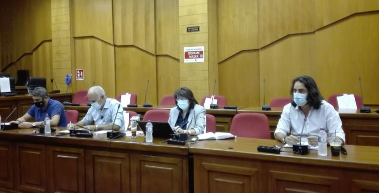 Γ. Ζεμπιλιάδου: «Ανεπαρκές» το master plan για την μετάβαση στην Δυτ. Μακεδονία
