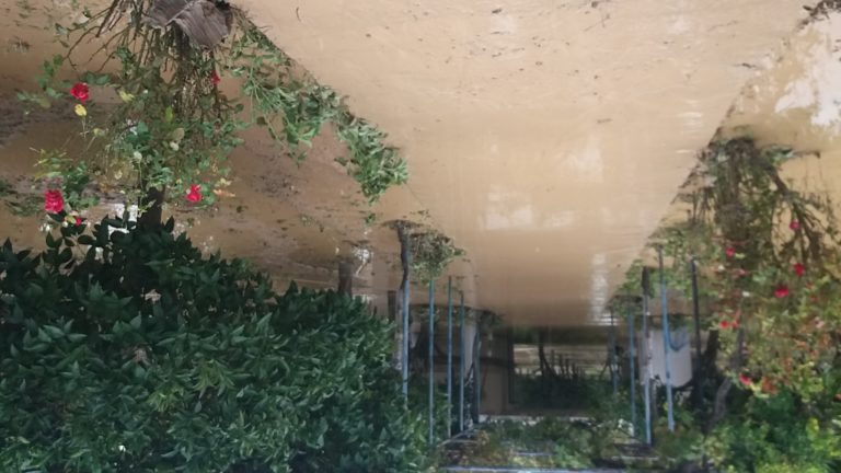 Πρωτοβουλία δήμου Άργους – Μυκηνών για τους πλημμυροπαθείς της Καρδίτσας