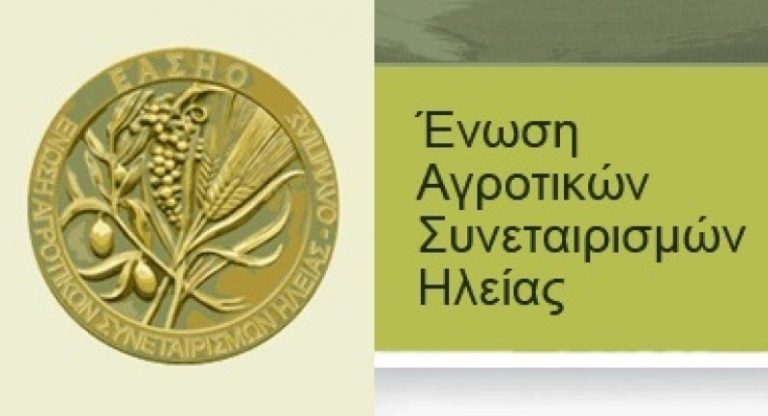 Σε εκκαθάριση η ΕΑΣ Ηλείας – Ολυμπίας