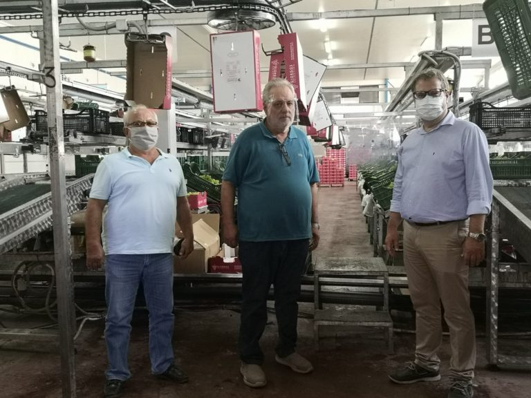 Καβάλα: Έτοιμα τα συσκευαστήρια για τη συγκομιδή σταφυλιών