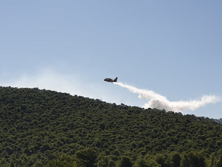 Έσβησε η φωτιά στην Αρχαία Νεμέα